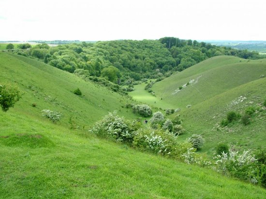 barton-hills-min